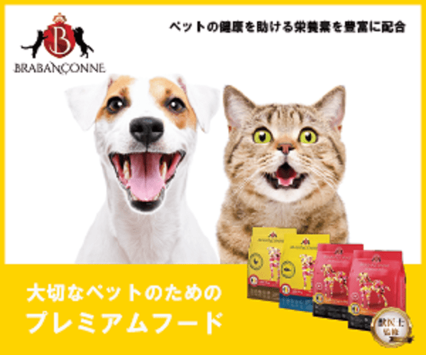 ブラバンソンヌ 口コミ